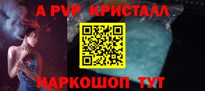 ECSTASY Новозыбков